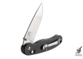 Складной нож Ganzo FB727S-BK черный 